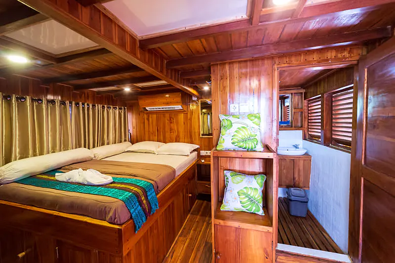 Helena Horizon Master - Image 1